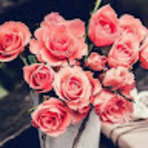 Meet your Posher, Valeria